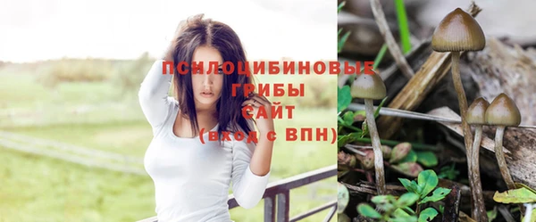 мескалин Алексеевка