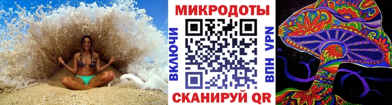 купить наркотики сайты Дивногорск Псилоцибиновые грибы Magic Shrooms