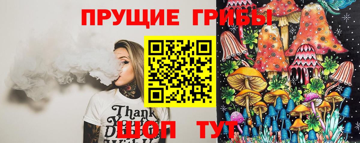 Дивногорск  Псилоцибиновые грибы MAGIC MUSHROOMS  Галлюциногенные грибы Cubensis  Вход с VPN 